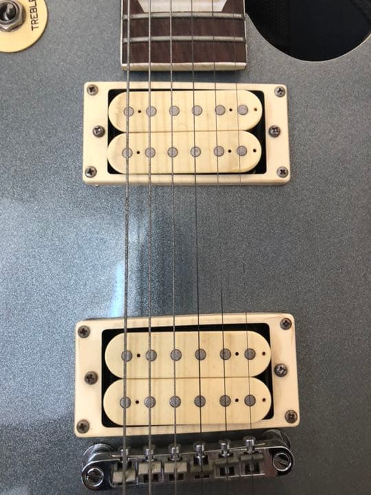 エレキギター レスポール jagard 寺田楽器