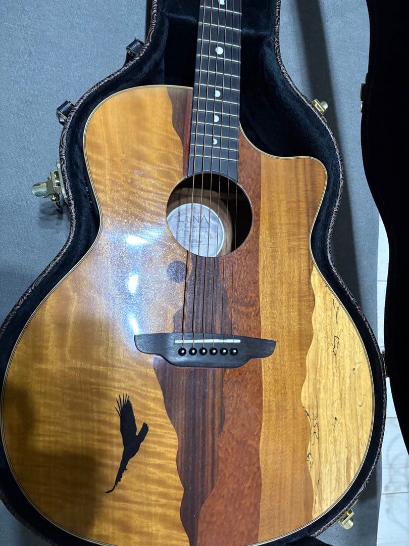 ルナ・ヴィスタ・イーグル　アコースティック・エレクトリックギター値下げ受け付け中