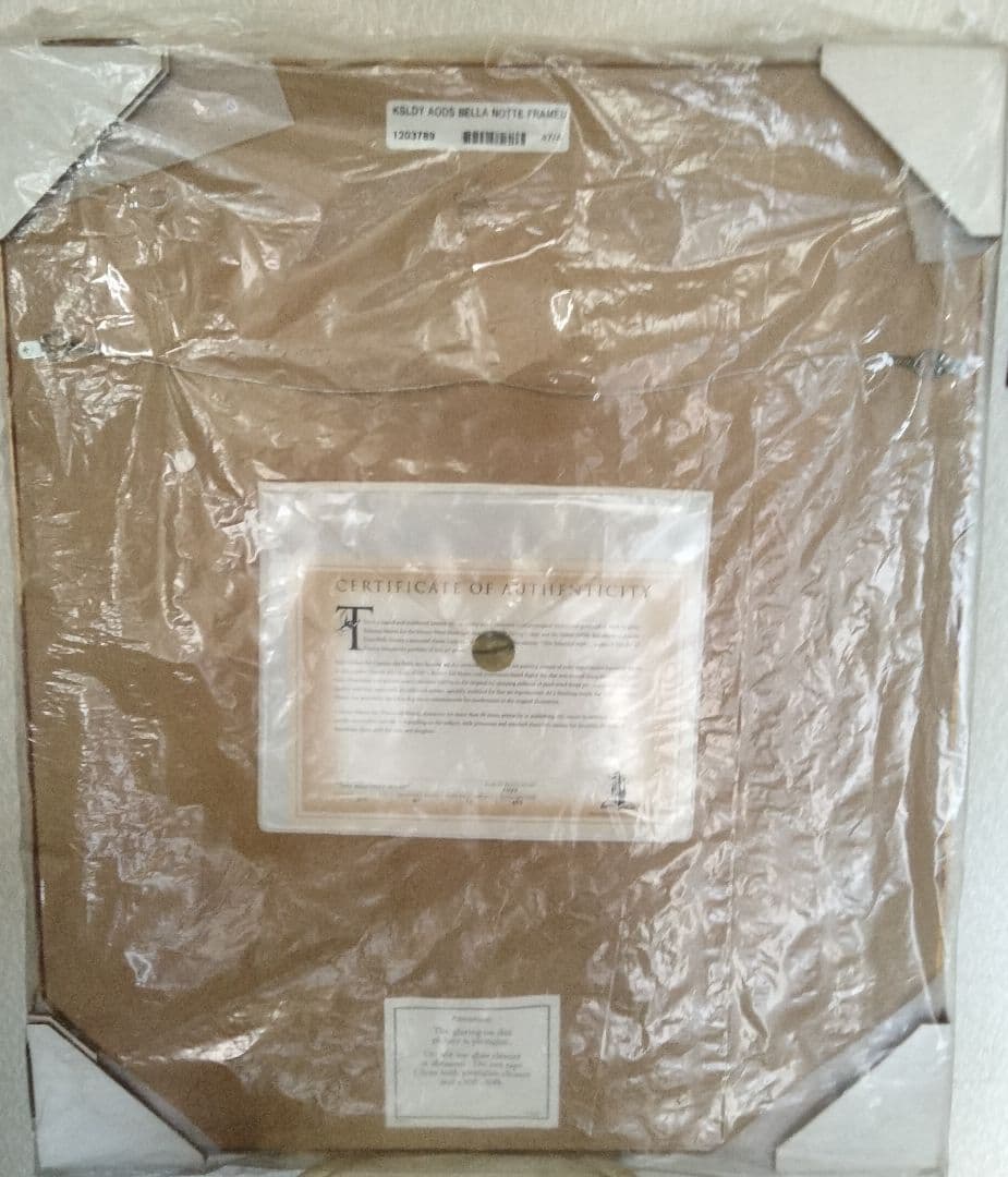 ディズニーわんわん物語　トランプとレディ