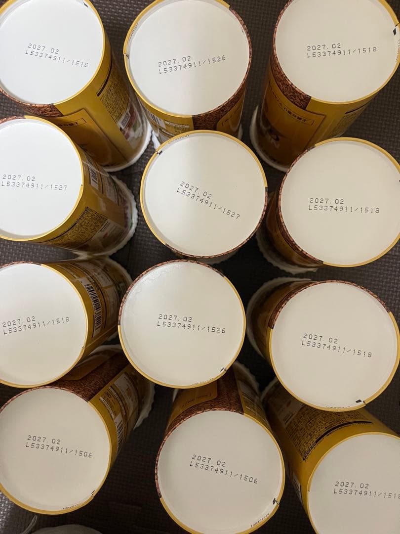 ネスカフェ ゴールドブレンド エコ＆システムパック 95g 12箱