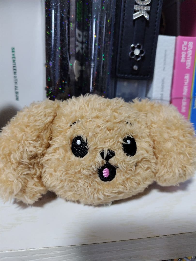 seventeenドアドギョム2体