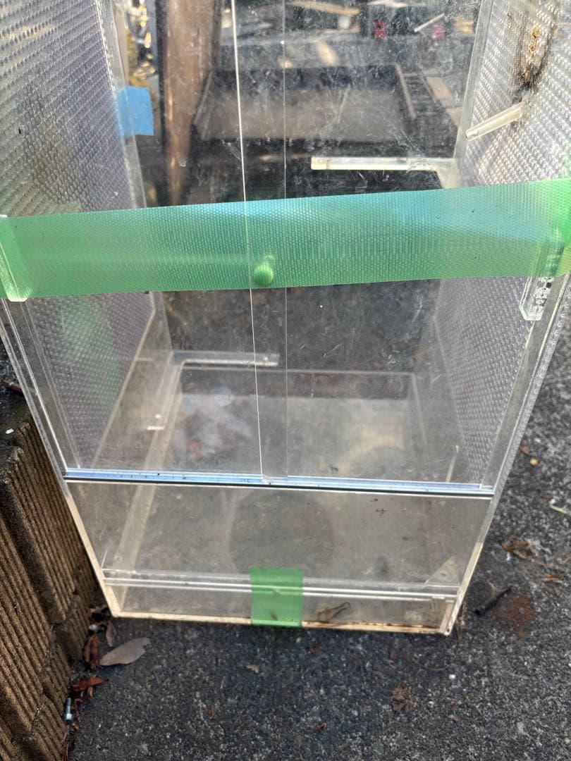 大型フクロモモンガケース