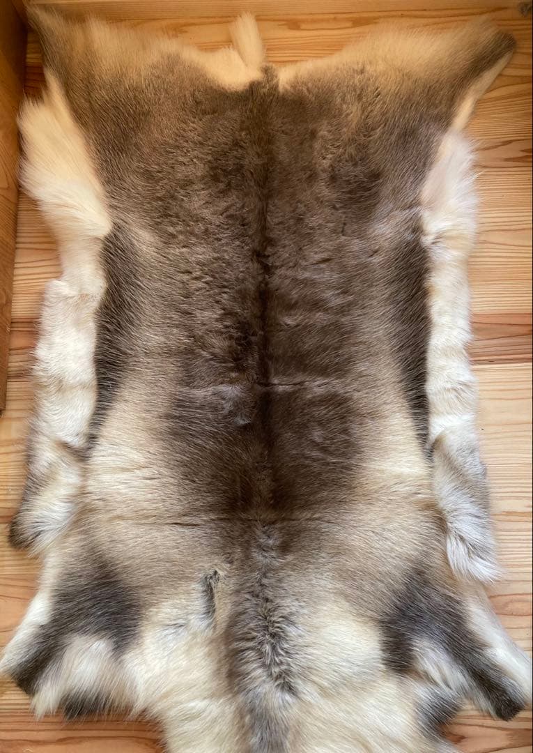 DALUM トナカイファー Lサイズ 北欧 ラグ 天然皮革