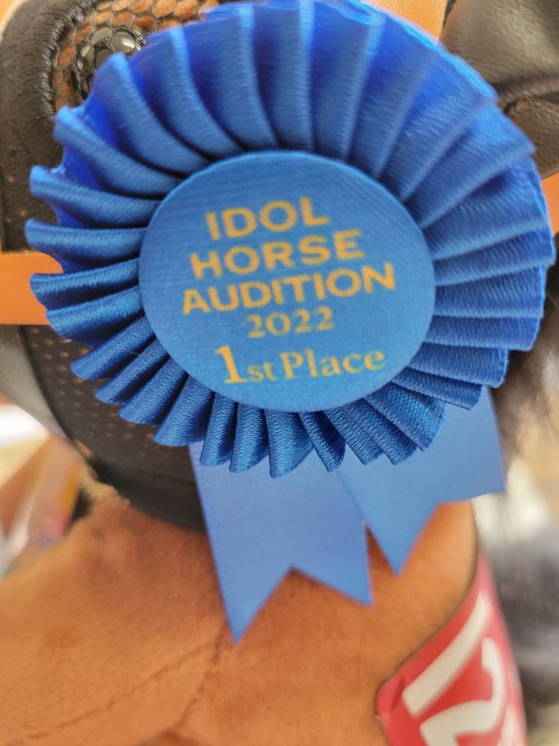 【新品】正規品　アイドルホースオーディション2022 限定　メイケイエール