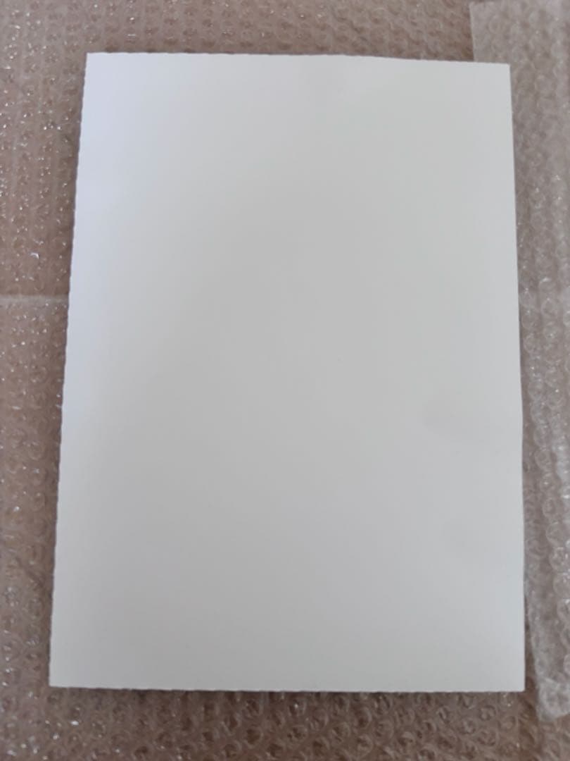 ビバレン　カズ　パネル