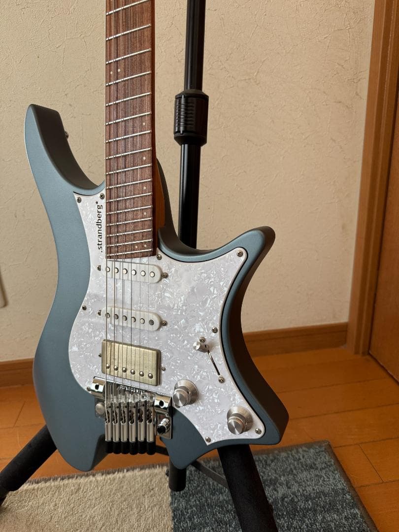 ギター Strandberg Classic 6 Trem
