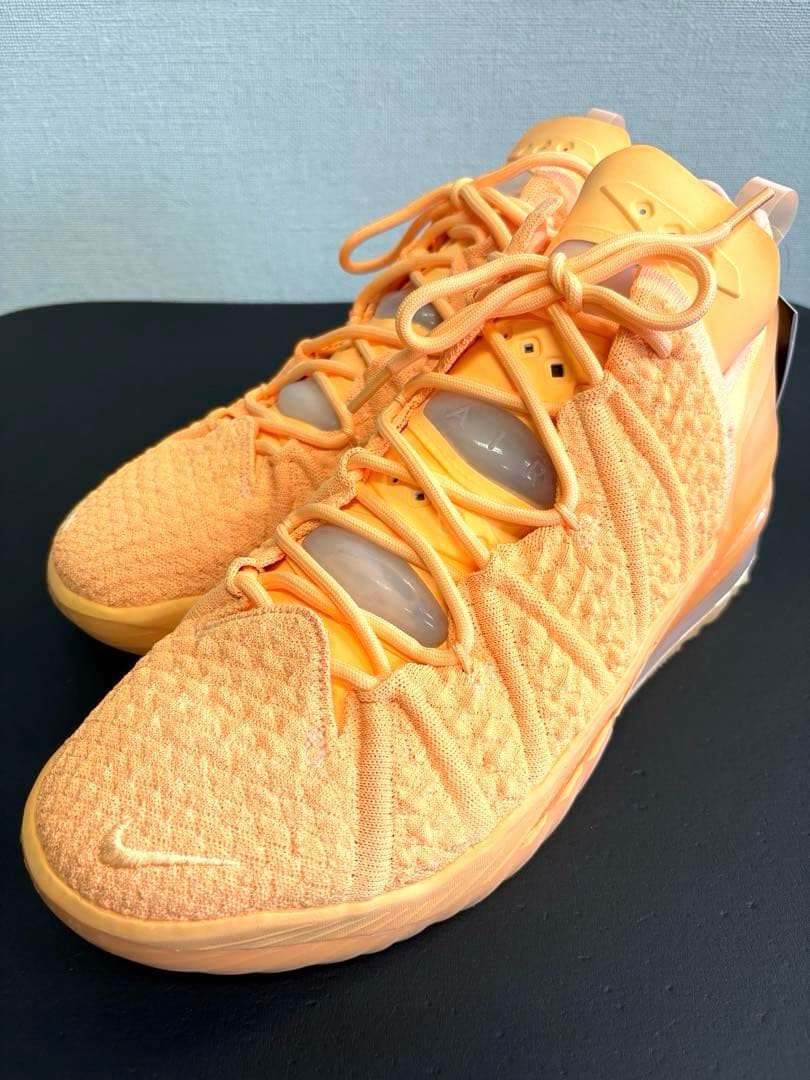 シューズ(男性用) NIKE LEBRON XVIII EP \