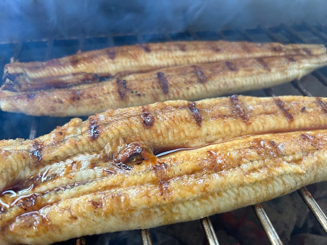 【極上うなぎ】大サイズ140g -170g　三河一色産　4尾セット　炭火焼き鰻