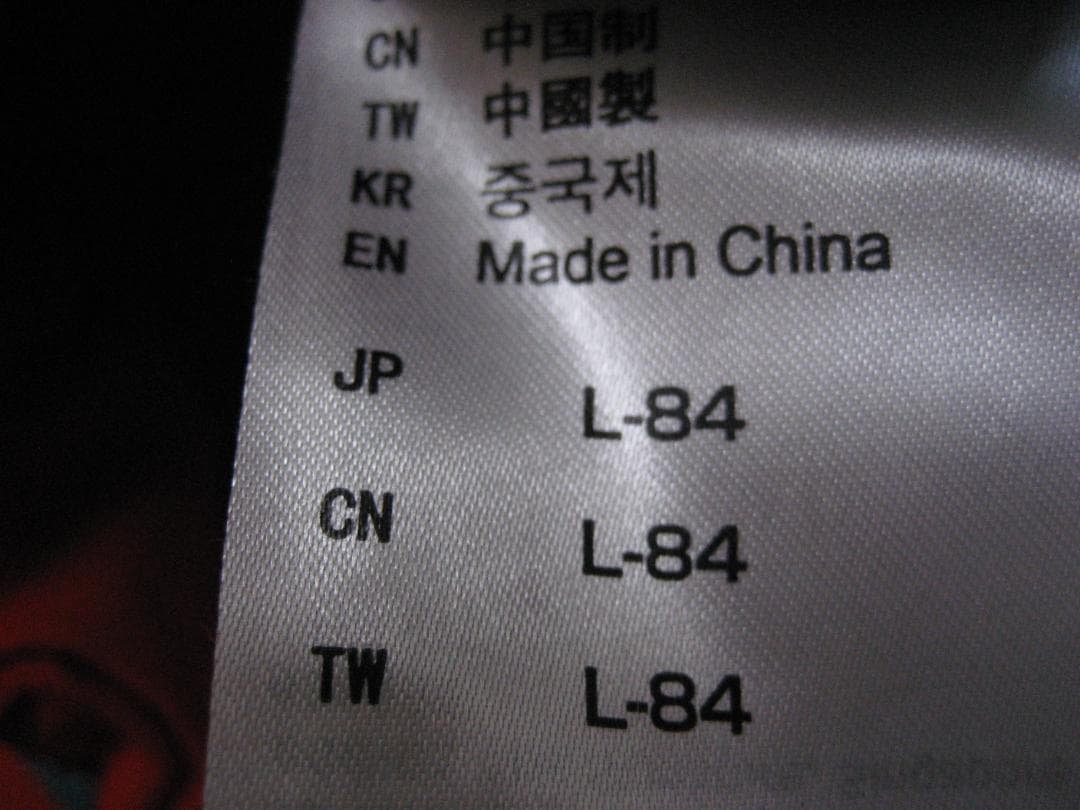 お値下依頼　美品 ミズノ 高機能 デモウェア　上下Lサイズ セット ブレスサーモ