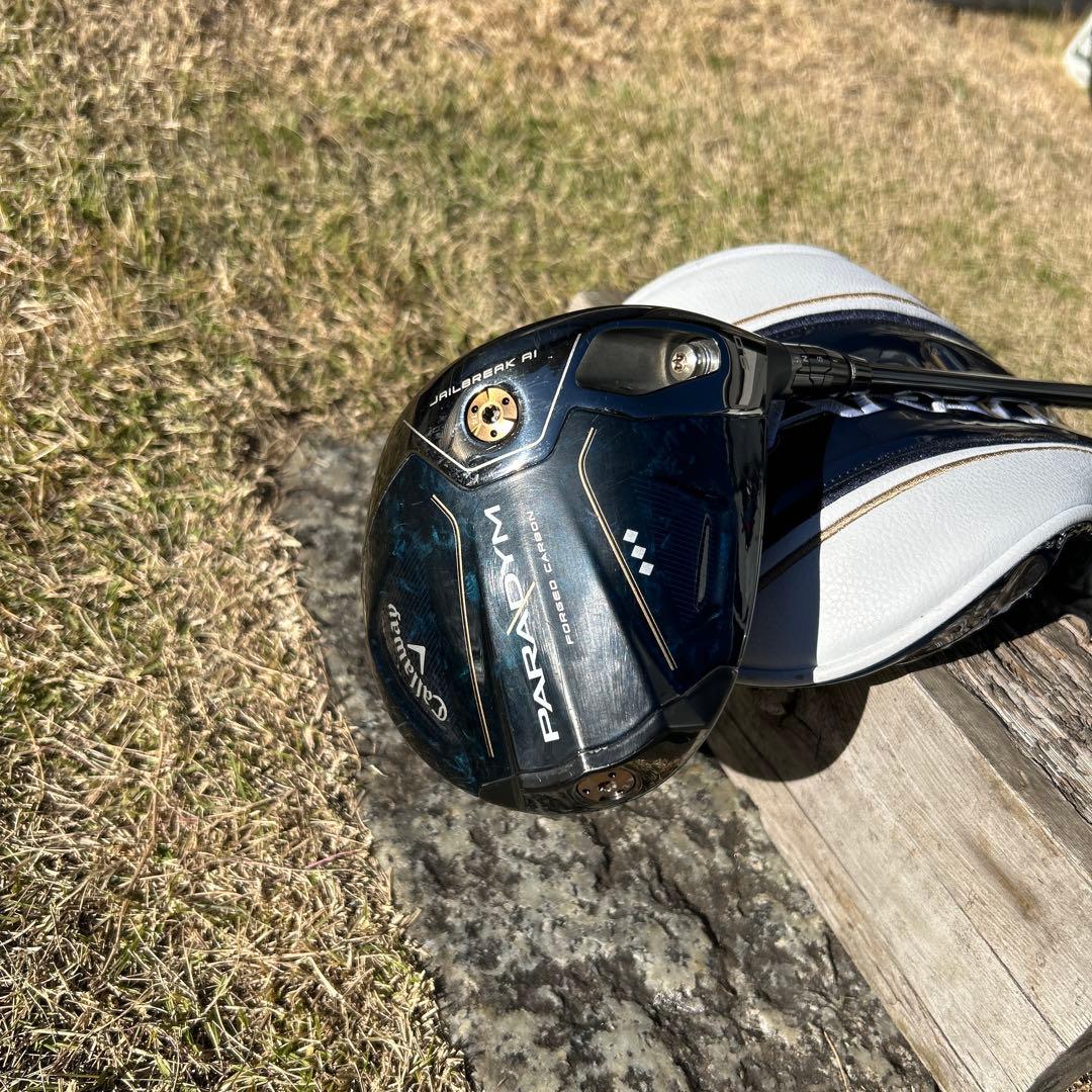 パラダイムトリプルダイアモンド9°ヘッドのみ