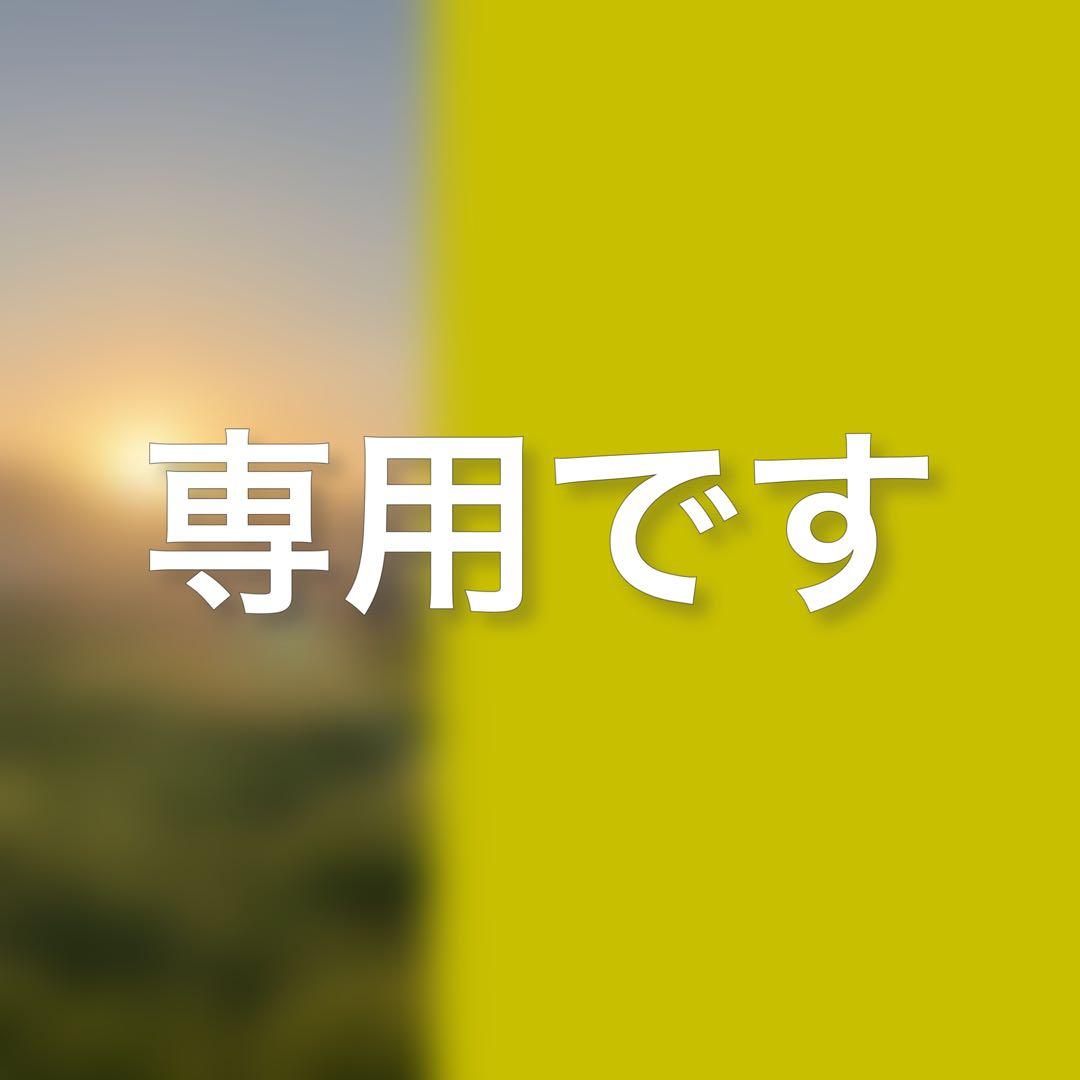 テコチチ【願いが叶う】【金運 財運 繁栄 招福】金魚 きんぎょ らんちゅう