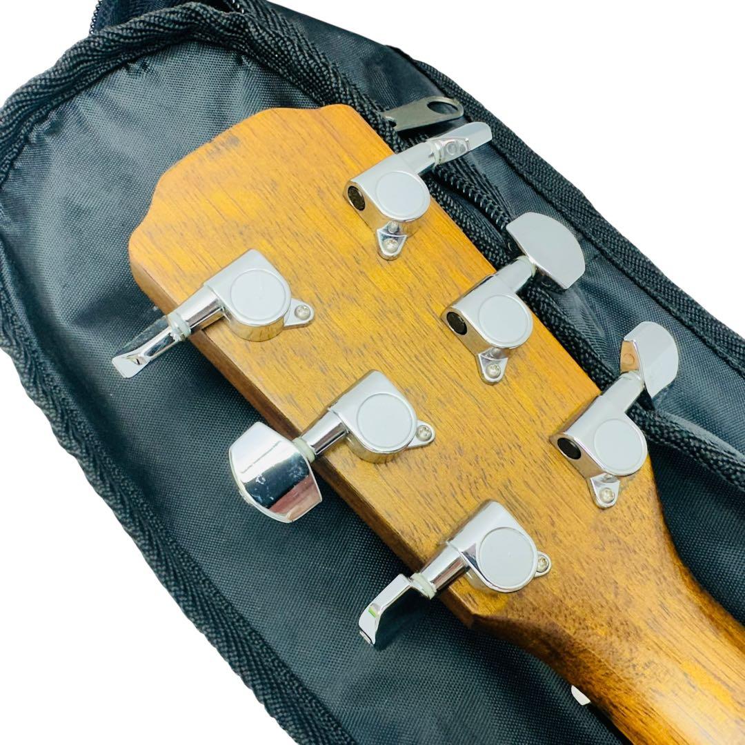 Morrirs モーリス アコースティックギター M-255TS