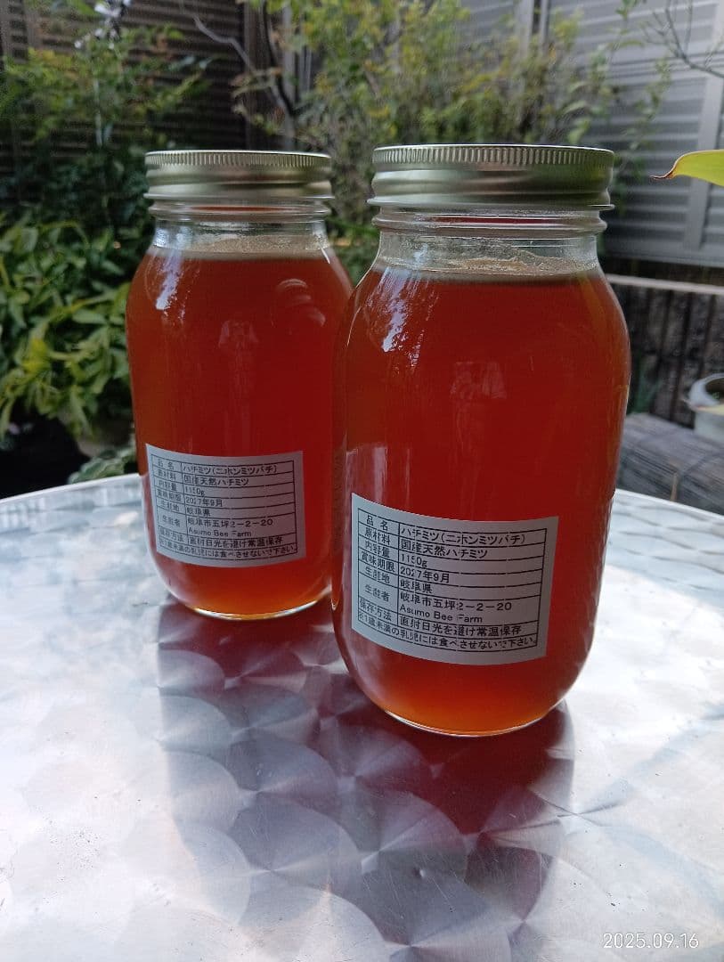 ニホンミツバチの百花蜜　天然 はちみつ 　1150グラム　2本セット