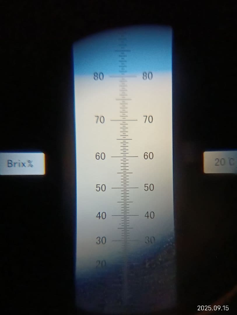 ニホンミツバチの百花蜜　天然 はちみつ 　1150グラム　2本セット