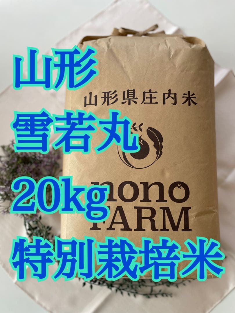 雪若丸　20kg 令和7年　山形　特別栽培米