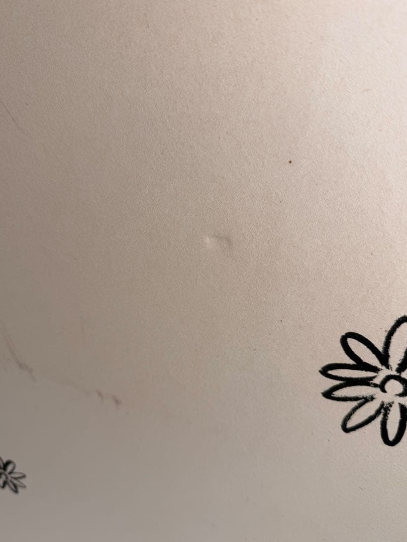 #表千家 家元 即中斎宗 両面風炉先屏風「梅菊散らし」 主婦の友社