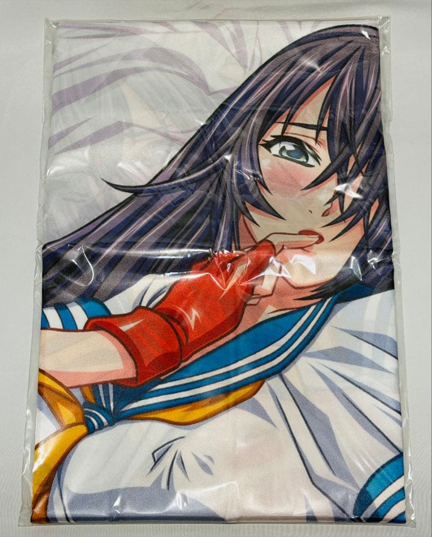 とらのあな 一騎当千 GG 関羽雲長 抱き枕カバー 横田守