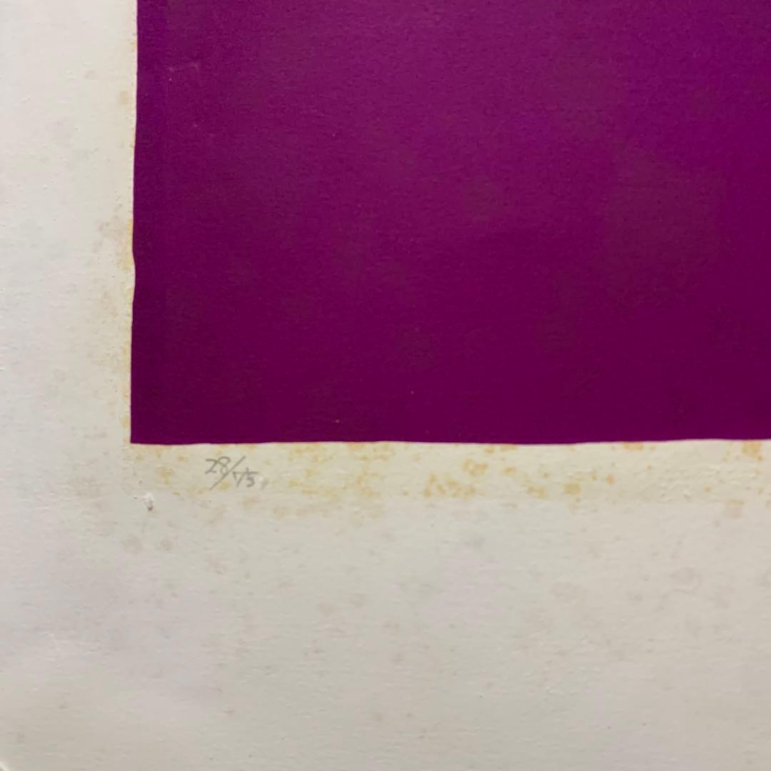 絵画　額装　現代アート　リトグラフ　ED 直サイン有り　大判　84×66センチ