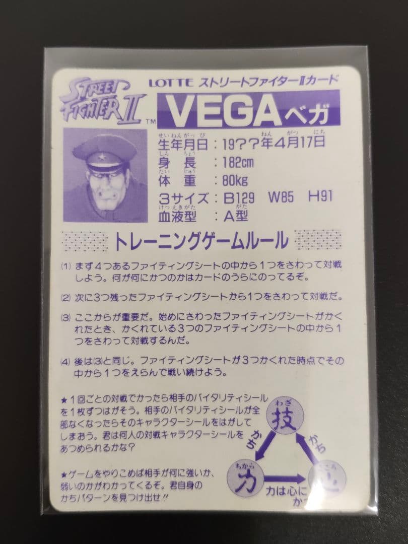 超希少 全12キャラ LOSE ver. ストリートファイター カード