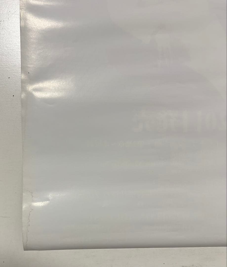 激レア‼︎Raphael Sick XXX患者のカルテ B2告知ポスター