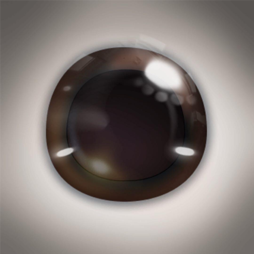 【正規品】lopeto(ロペット)パンダモデル　ペットロボットAI robot