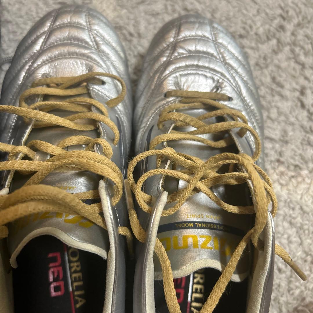 モレリアネオ4シルバー 24.5センチ