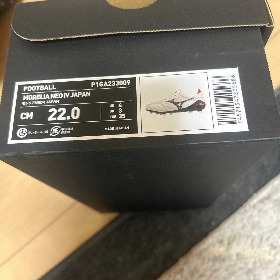 モレリアネオ4シルバー 24.5センチ