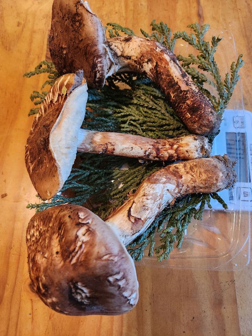 北海道産松茸　409g