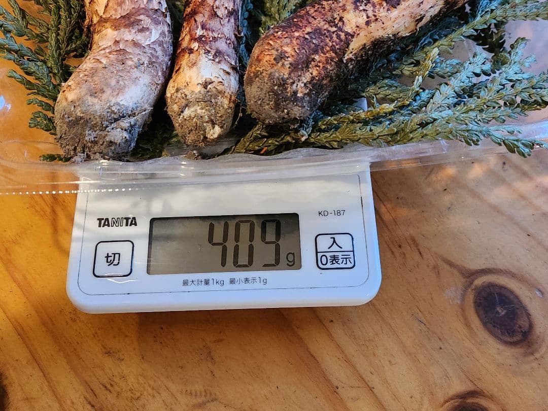 北海道産松茸　409g