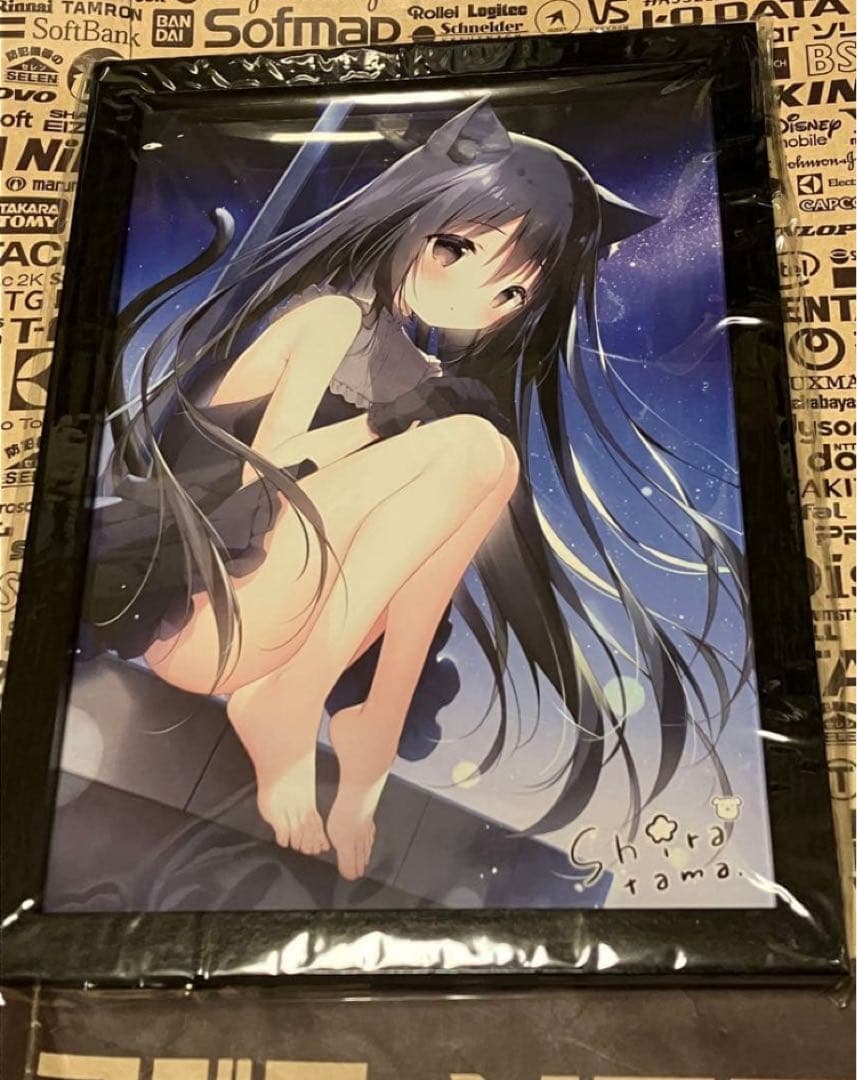 しらたま　星空鉄道とシロの旅　板上サイン入り　額装　ミニアートグラフ　ノワール