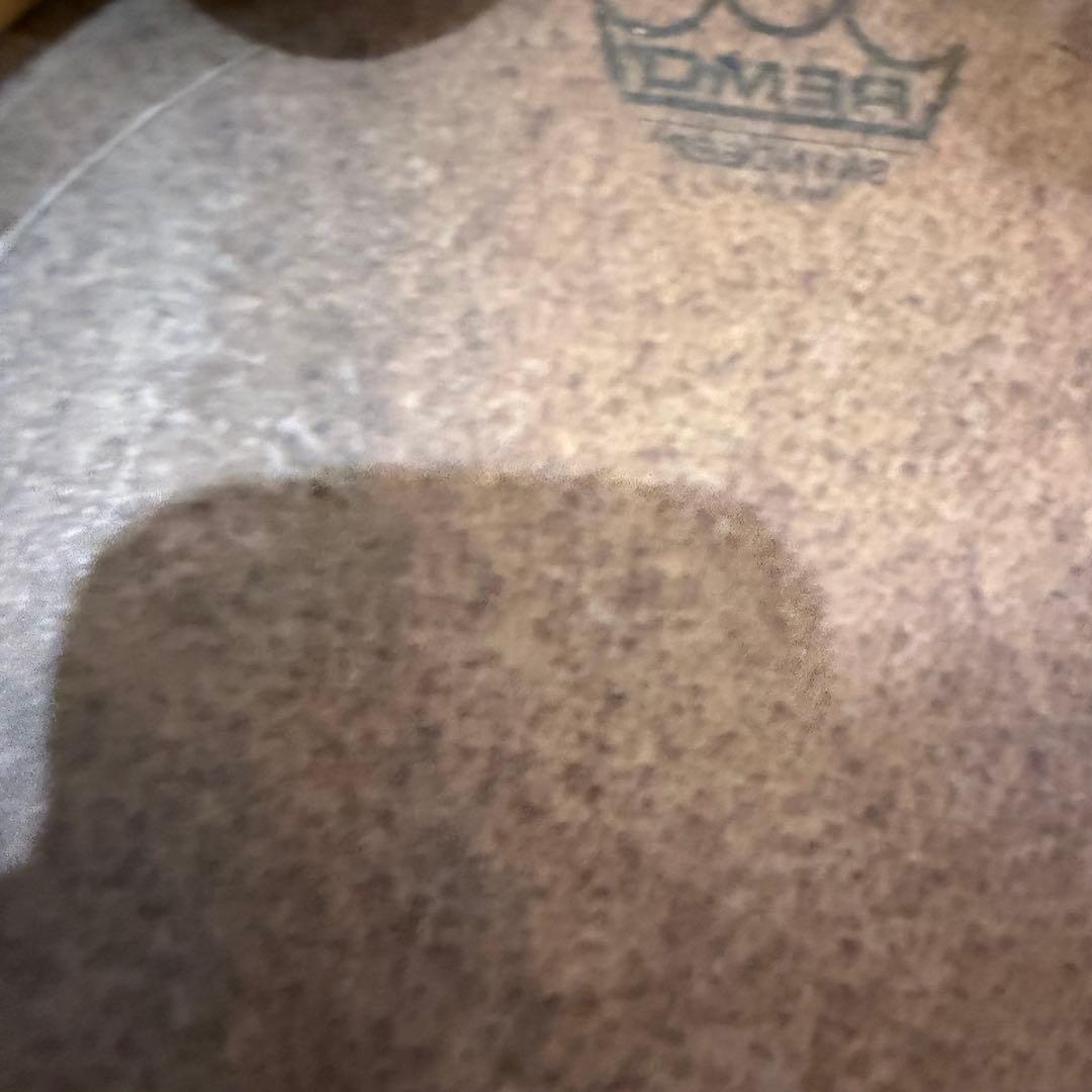 コンテンポラネア パンデイロ PDMV105C Remo ヘッド　ケース付き