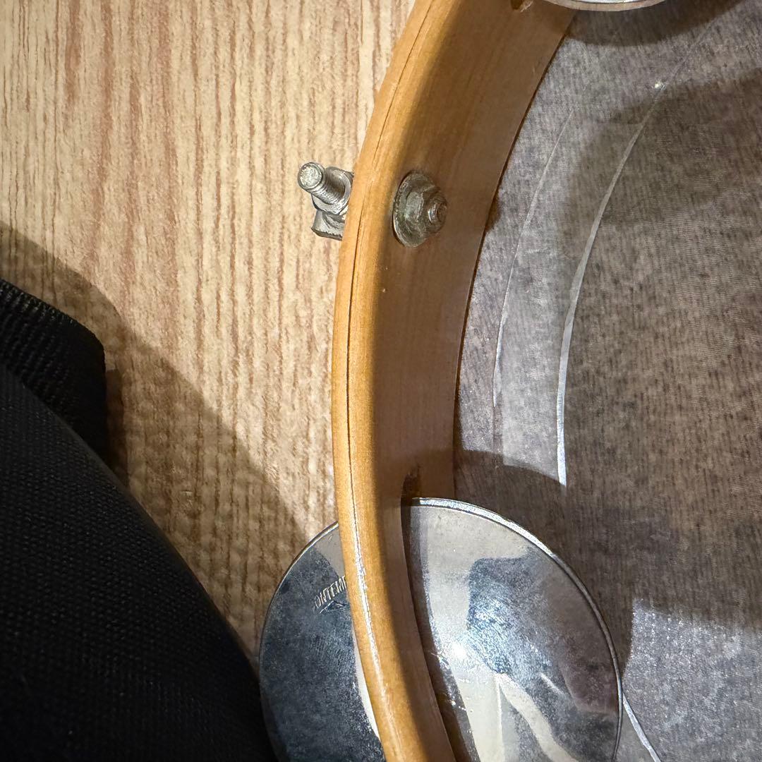 コンテンポラネア パンデイロ PDMV105C Remo ヘッド　ケース付き