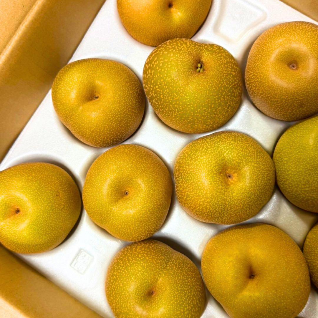 梨　豊水梨　家庭用　　80