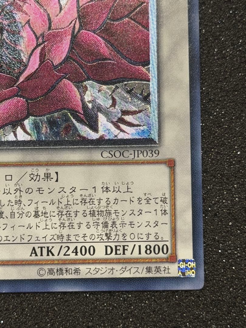 【超極美品】ブラック・ローズ・ドラゴン レリーフ　極深掘り