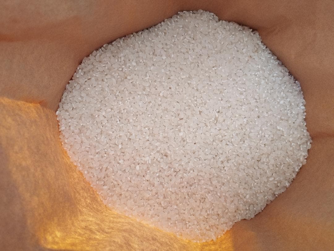 ひとめぼれ　精米10㎏　7年産　宮城県　柿渋袋　送料込　農家直送　米　10キロ