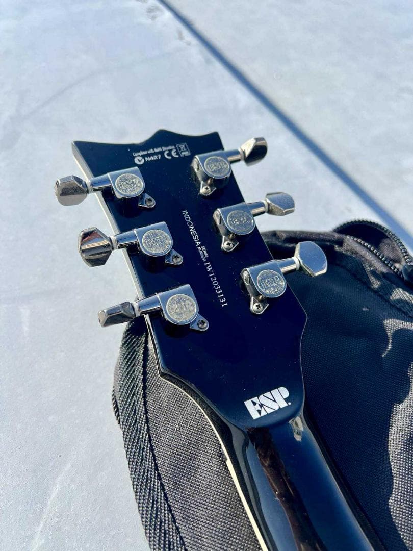 ギター LTD EC-330 (EMG)