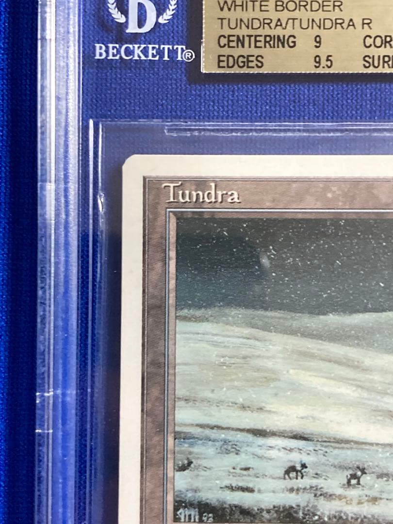 イタリア語 Revised Tundra dual land BGS9.5鑑定品