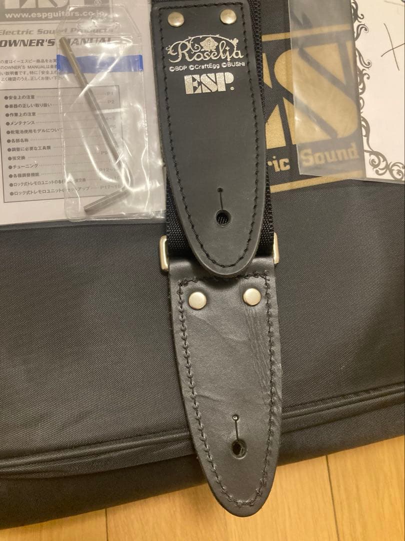 ESP × BanG Dream! バンドリ！　M-II Sayo 氷川紗夜