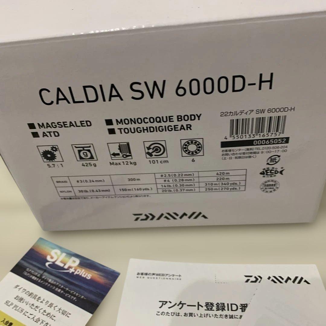 Daiwa 22 CALDIA SW 6000D-H 22カルディア スピニング