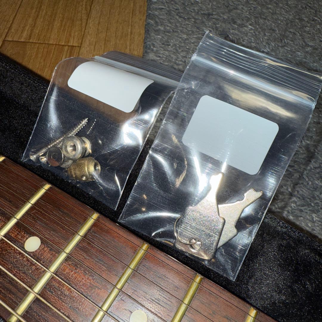 Duesenberg Starplayer LP 純正ハードケース付き