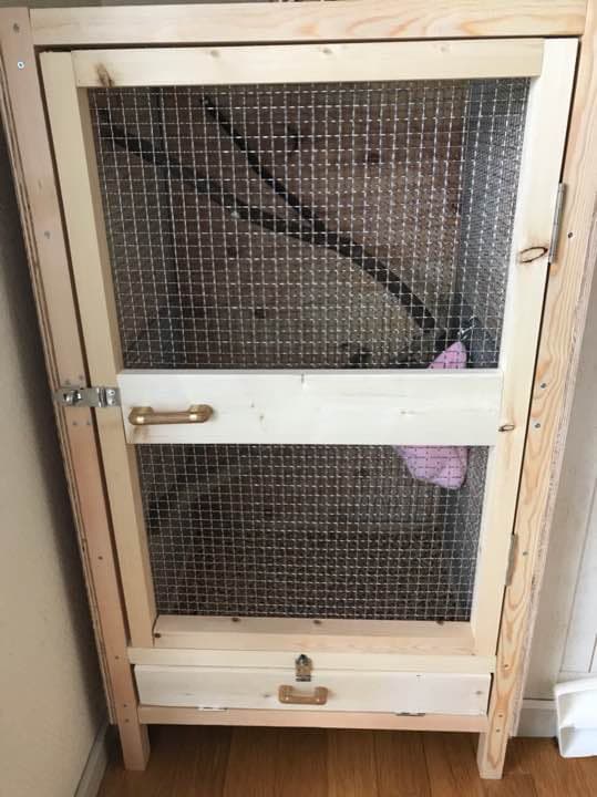 モモンガ ゲージ 小動物