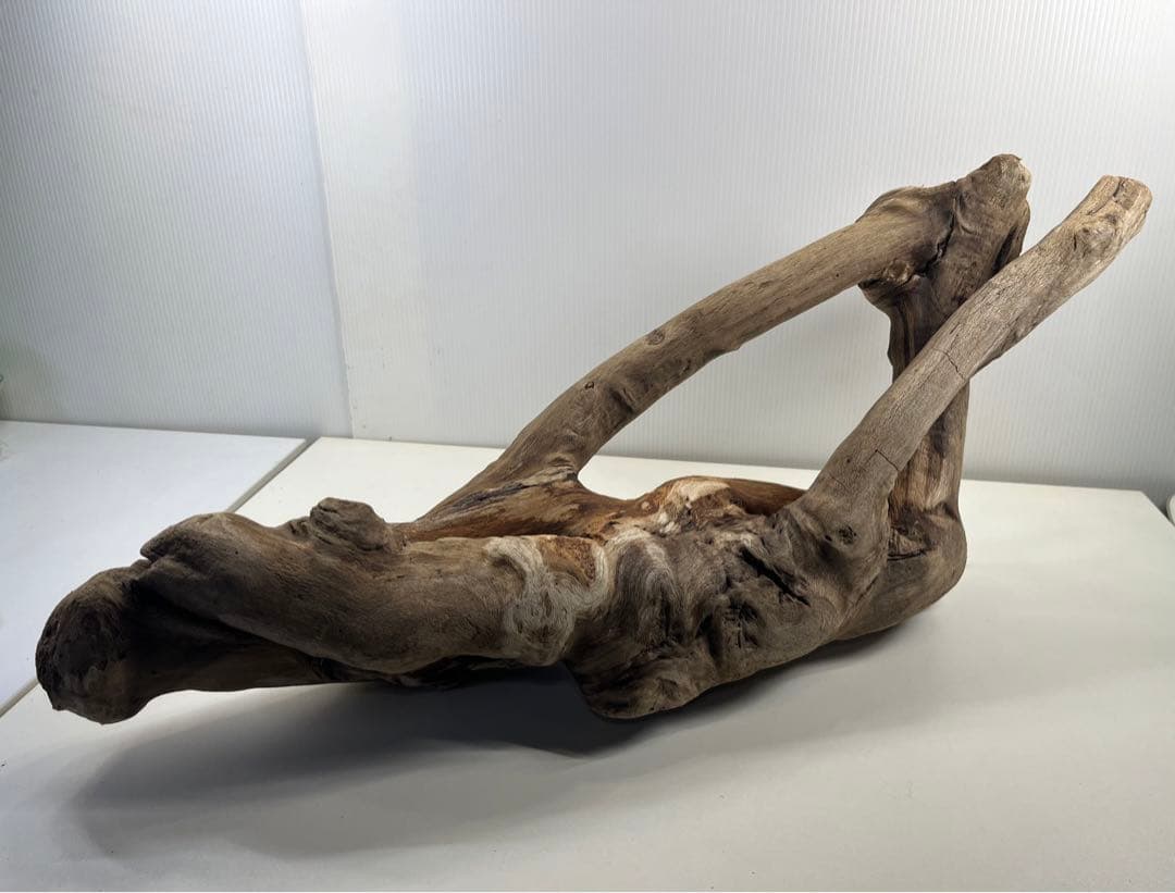 A16大型流木 アク抜き済み流木 爬虫類シェルター 登り木 インテリア 生け花