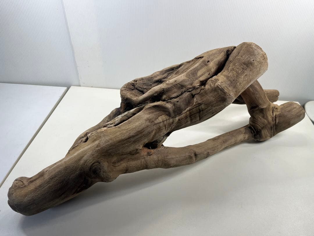 A16大型流木 アク抜き済み流木 爬虫類シェルター 登り木 インテリア 生け花