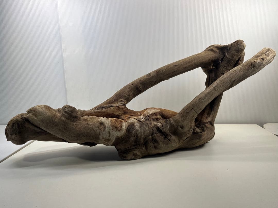 A16大型流木 アク抜き済み流木 爬虫類シェルター 登り木 インテリア 生け花