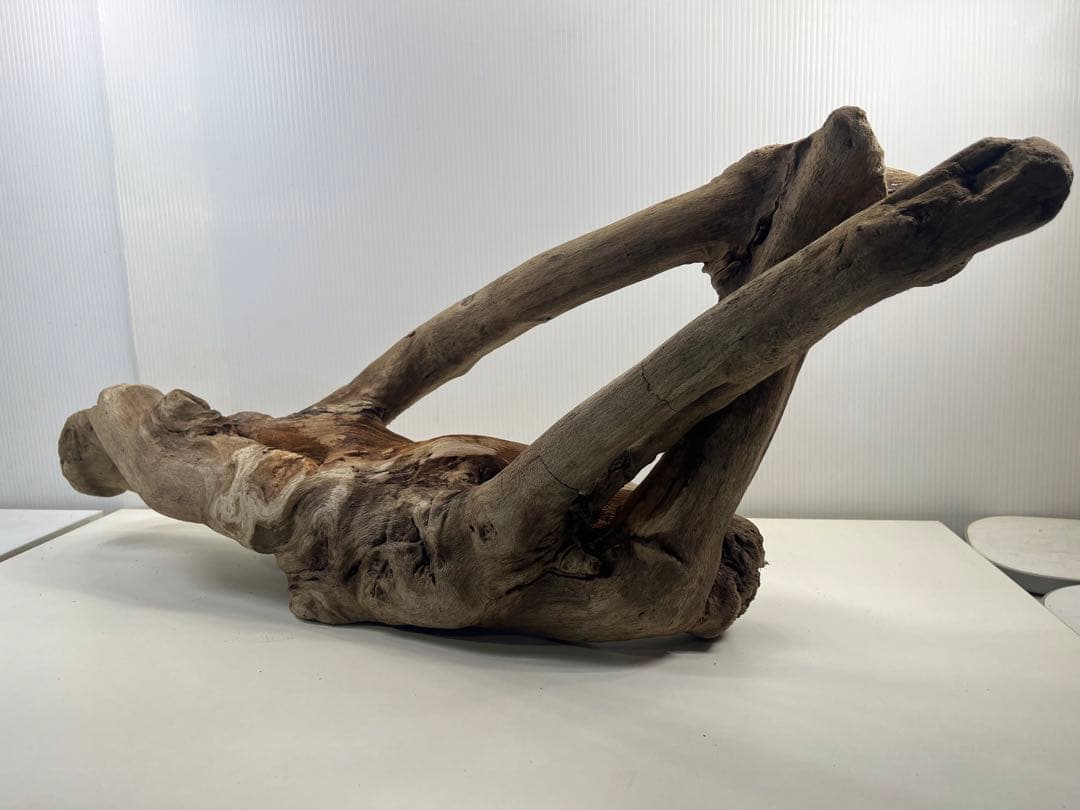 A16大型流木 アク抜き済み流木 爬虫類シェルター 登り木 インテリア 生け花