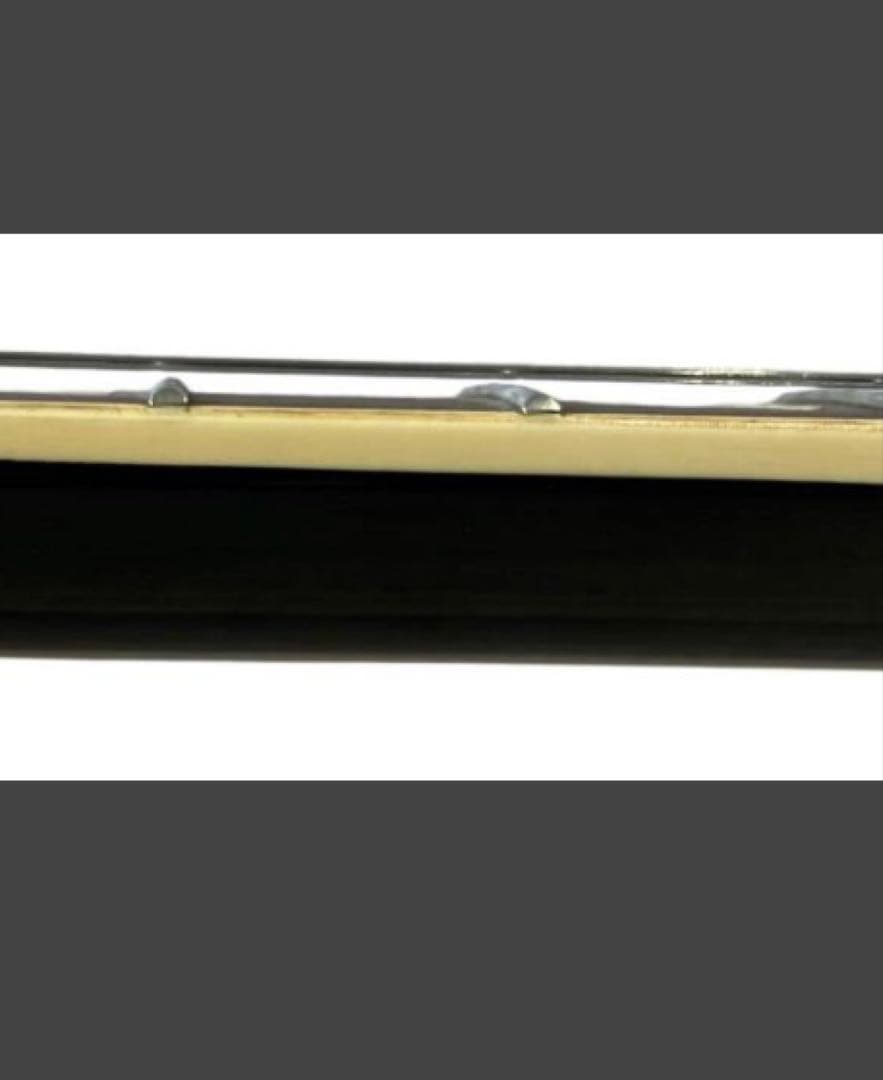 GYPSY ROSE ジプシーローズ レスポールタイプ　ソフトケース付き