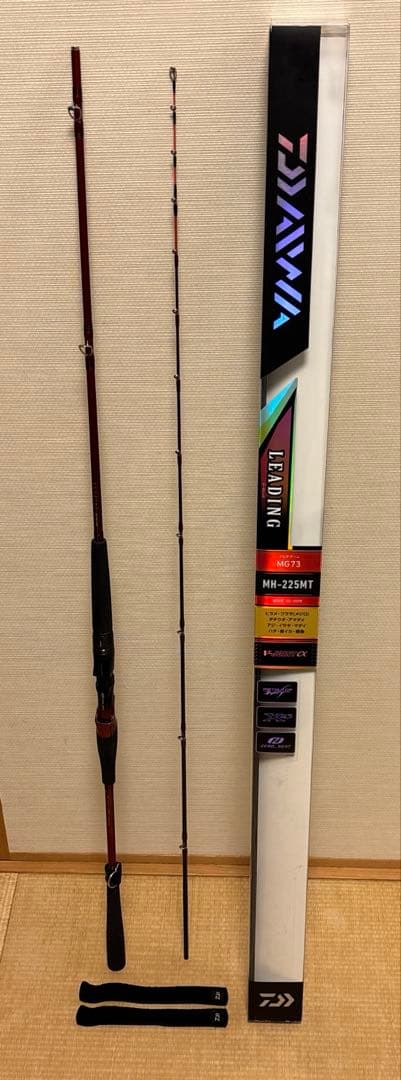 ダイワ リーディングMG 73MHー225MT