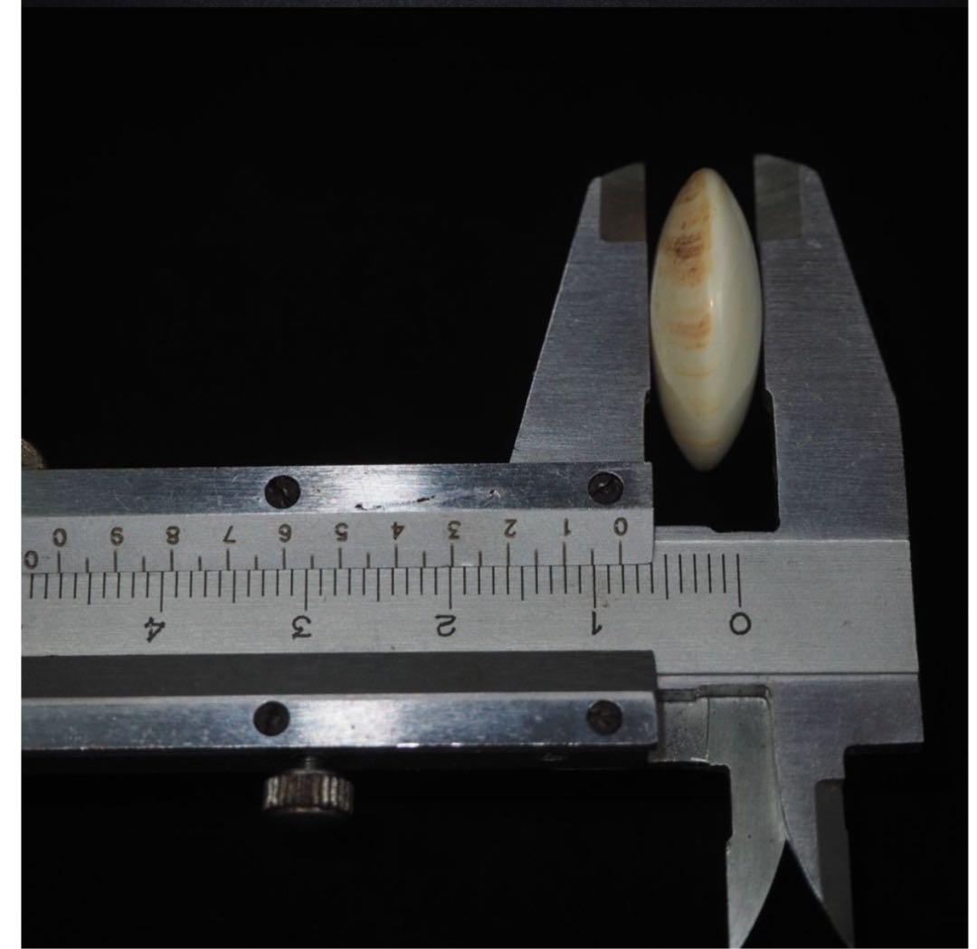 送料無料日向特産日向スワブデ蛤碁石30号碁笥セット一如吉田寅義作桑碁笥旧家蔵出