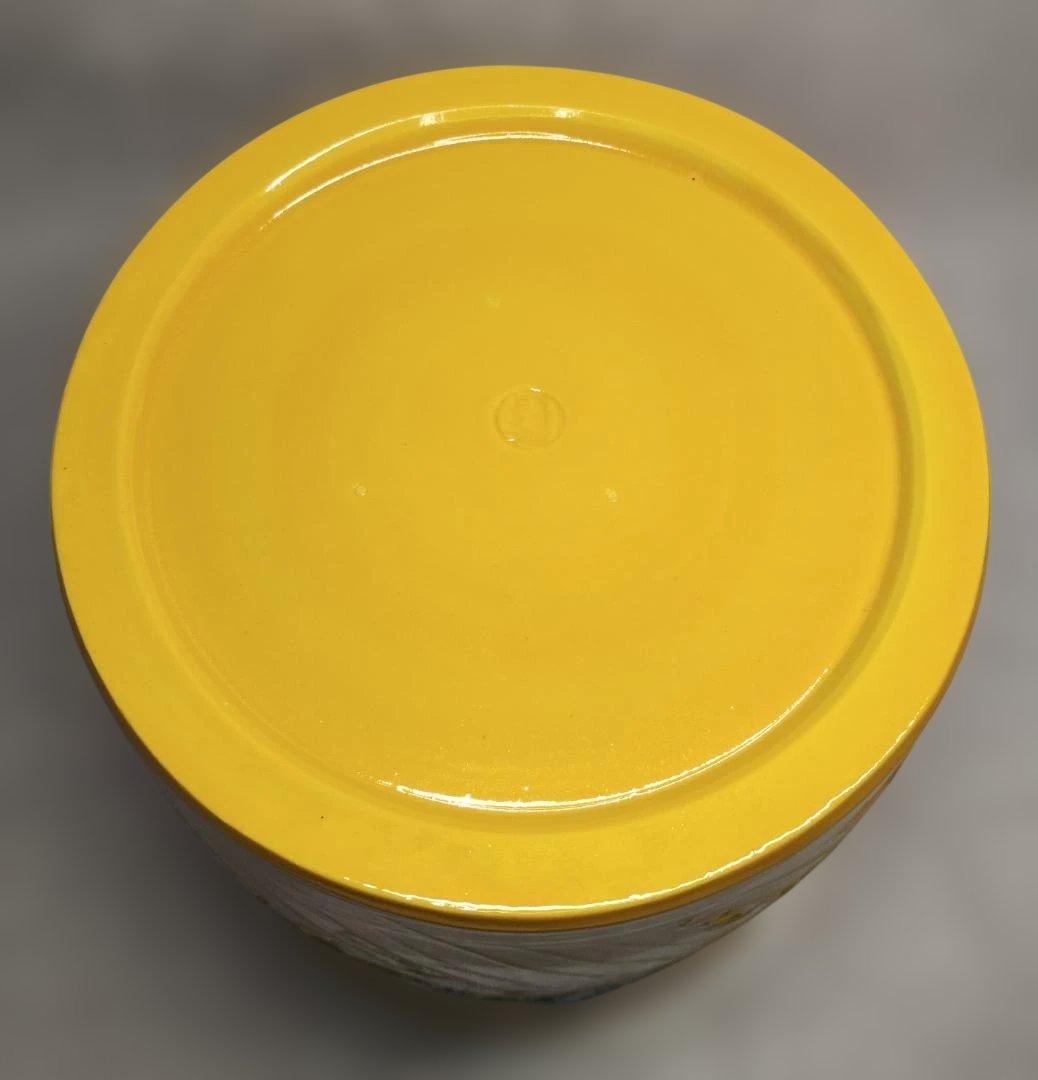 黄交趾 荒磯 一重口 水指