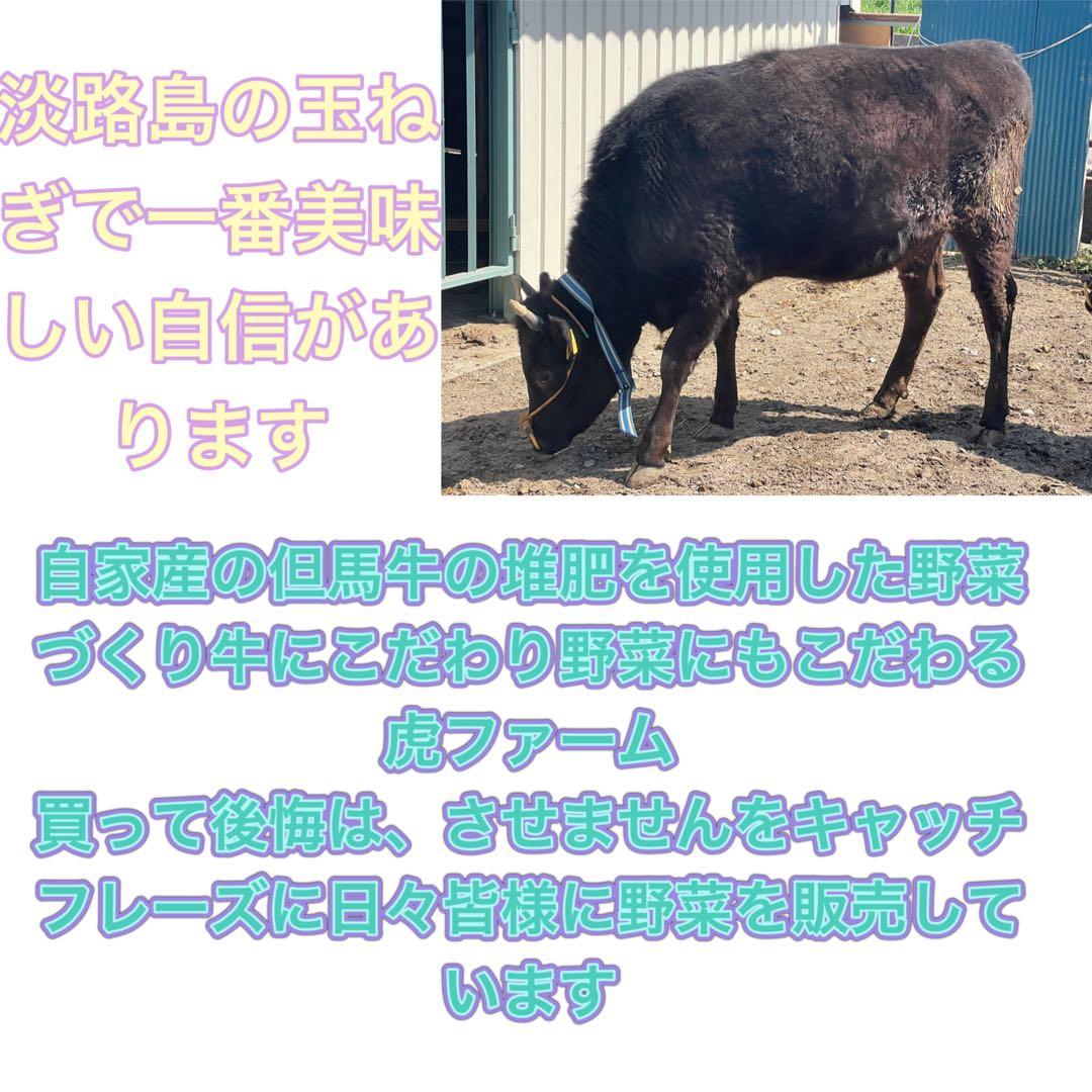 淡路島産淡路島新玉ねぎ高糖度、減農薬、農家